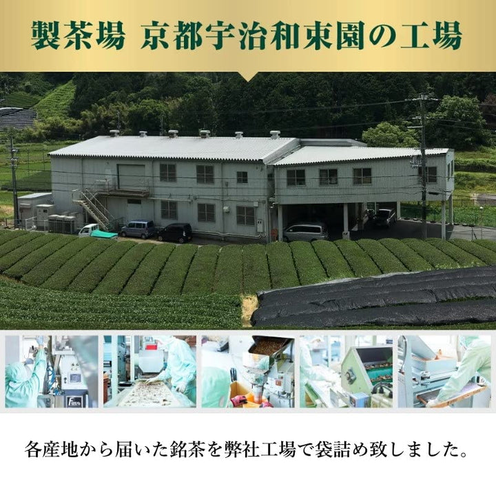 業務用ティーバッグ 大容量 10gx100p 水だし煮出し兼用 (国産煎茶 京都工場)
