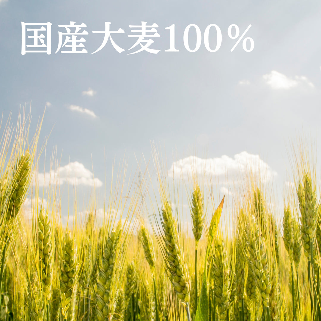 黒部麦茶ティーバッグ 40袋