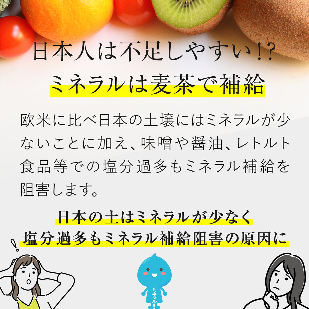 黒部麦茶ティーバッグ 40袋