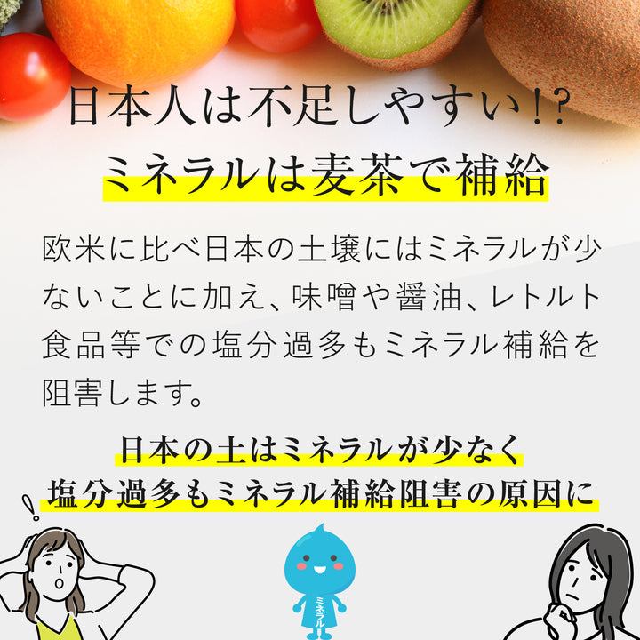 黒部麦茶ティーバッグ 40袋