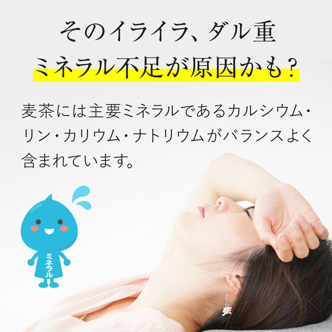 黒部麦茶ティーバッグ 40袋