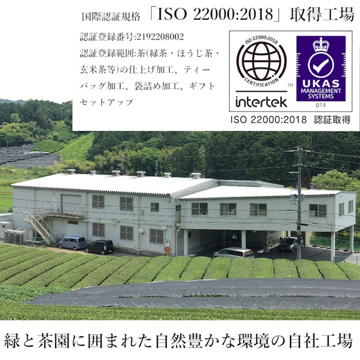 業務用 ティーバッグ 国産ほうじ茶 10g × 100P JP 水出し可 煮出し 兼用 国産 茶葉 使用 焙じ茶  am