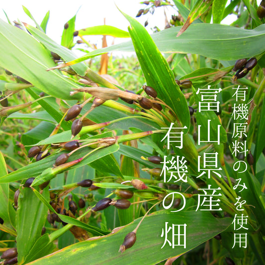 富山県産 有機はと麦茶 20袋