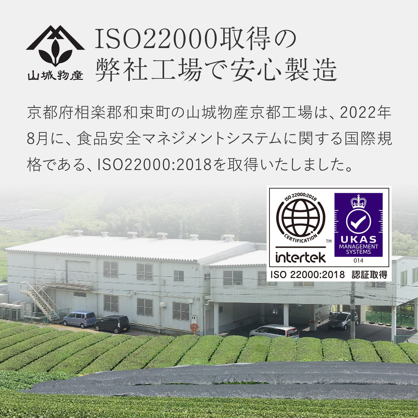 富山県産 有機はと麦茶 20袋