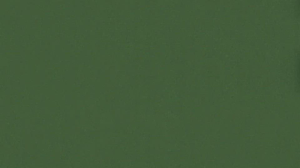 茶師辻重行の一煎 使い方