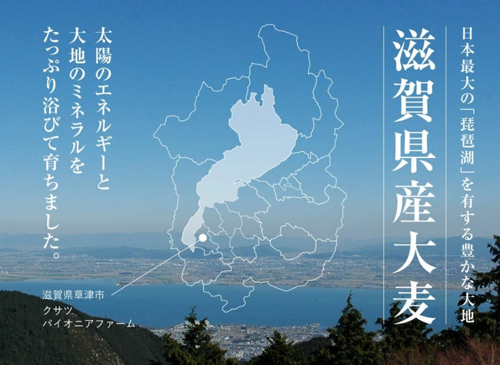 滋賀県産大麦