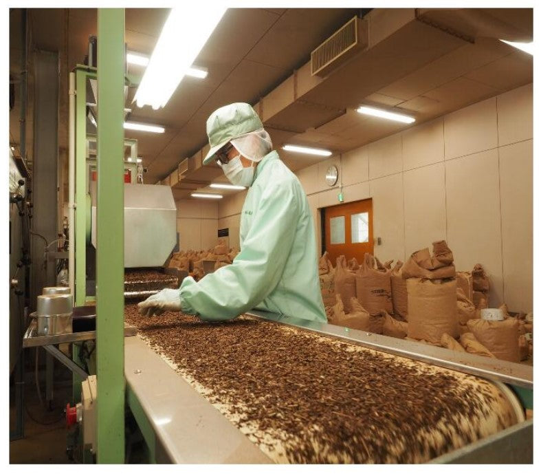 ほうじ茶工場