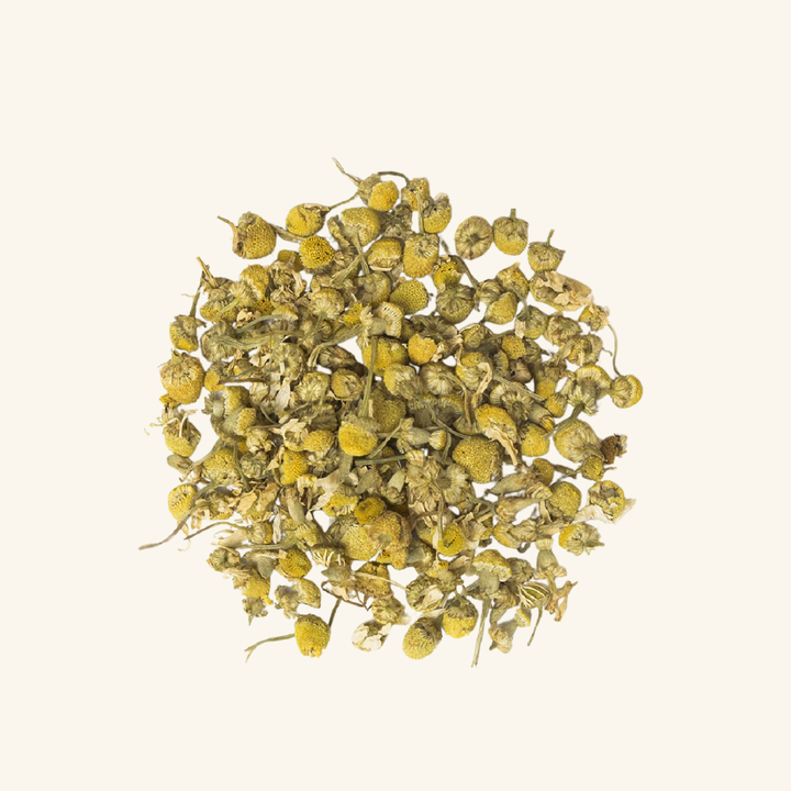 宇治和束園　カモミールジャーマンEX　瓶入り　6ｇ