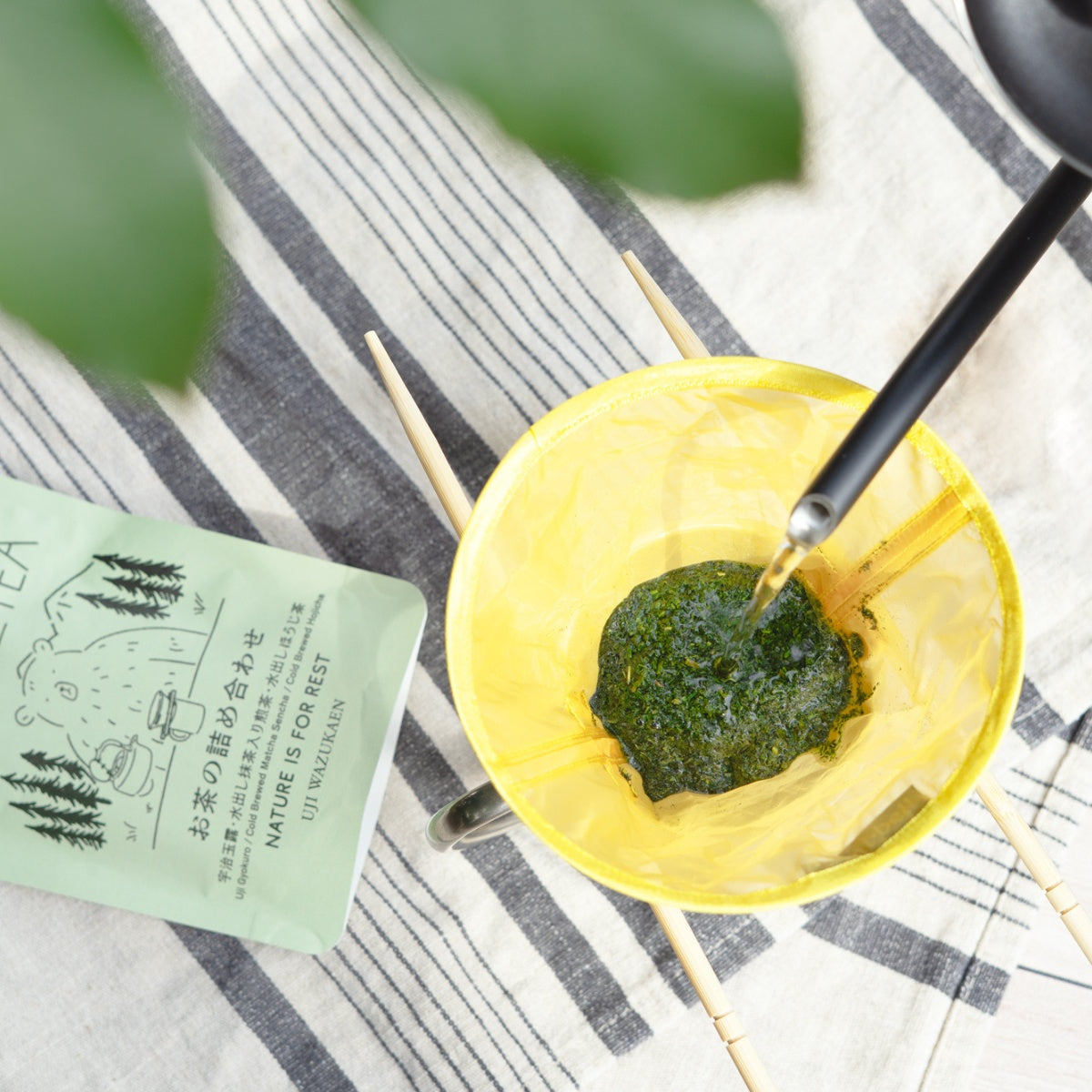 キャンプでティー　お茶の詰合せ