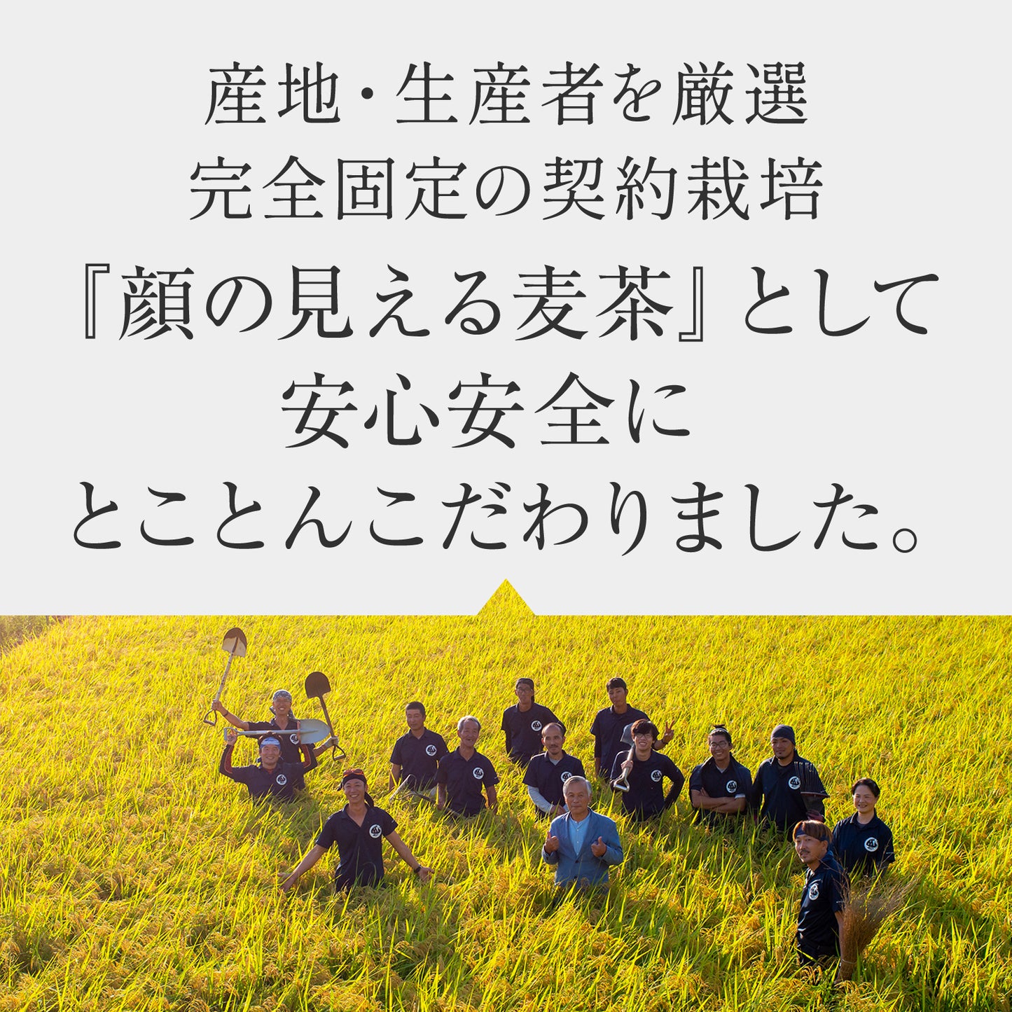 有機栽培麦茶ティーバッグ　20袋