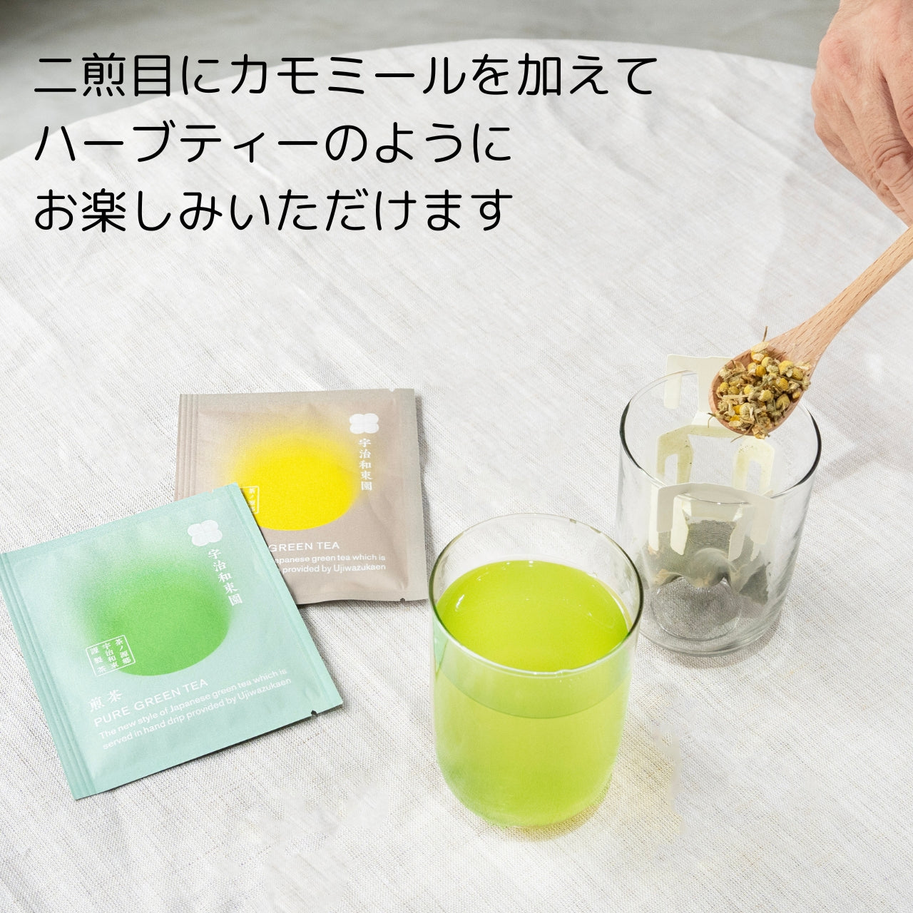 Alchemists' Garden 非売品グッズ福箱 天馬公式】プレクシーケース M オールクリアの通販