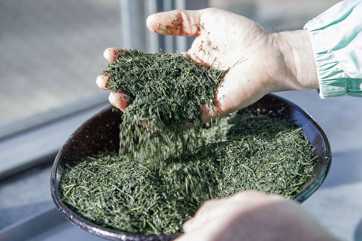 山城物産オンラインストア｜宇治茶・日本茶の通販サイト YAMASHIRO